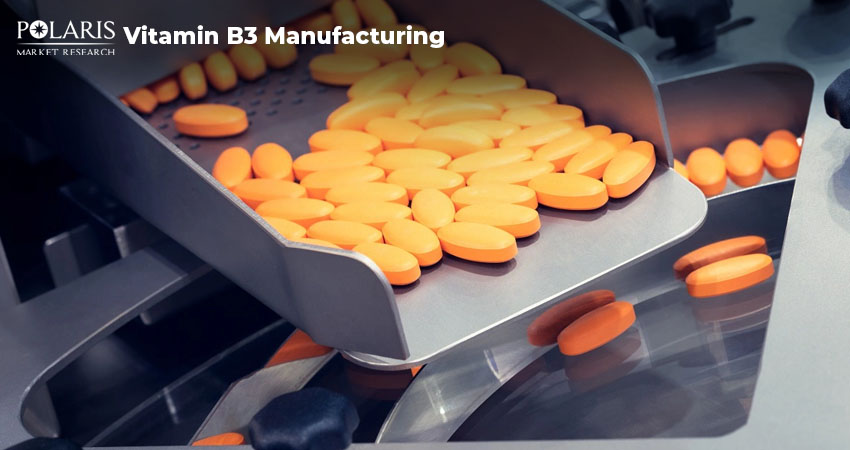 Leading Top 5 Companies Innovating in Vitamin B3 Manufacturing